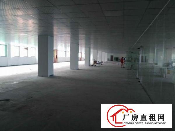  大浪英泰业主厂房2层出租(一二楼3000平方)