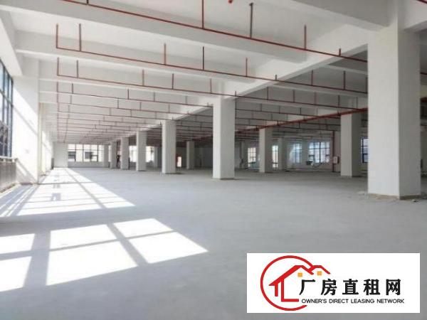  出租龙华大浪工业区独栋7000平厂房仓库出租大小可分租