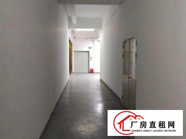  出租龙华大浪工业区独栋7000平厂房仓库出租大小可分租