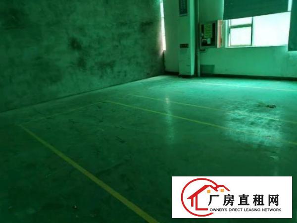  龙华布龙路工业园厂房四楼