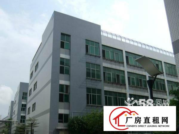 浪口大浪会堂新出3楼560平方带精装修免转让费急租