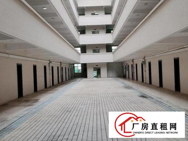  珠海市金湾区7280平独栋厂房出租带牛腿