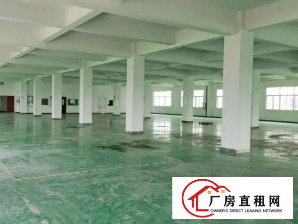  珠海市金湾区7280平独栋厂房出租带牛腿