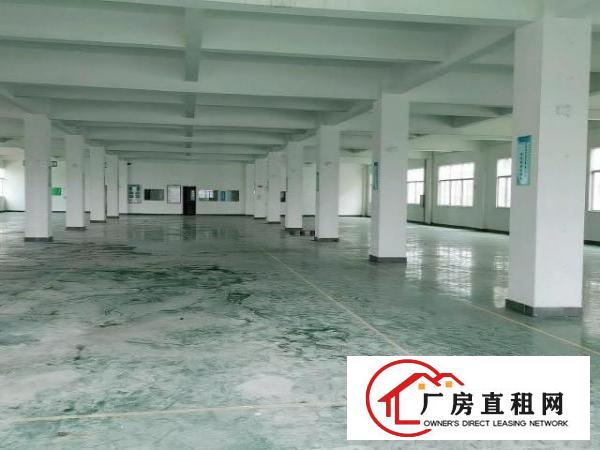  珠海市金湾区7280平独栋厂房出租带牛腿