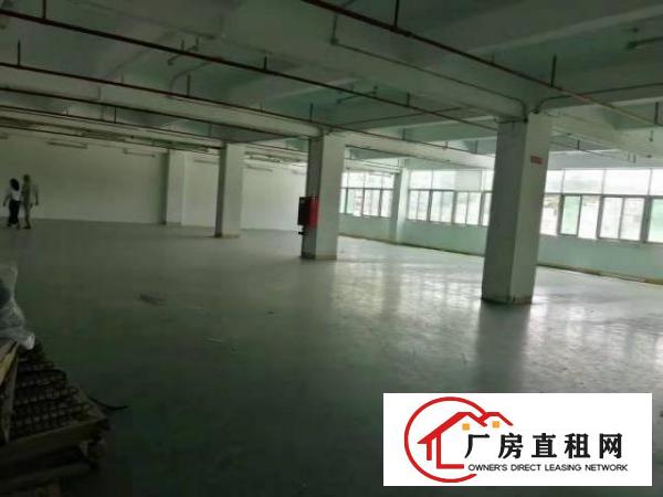  大浪澳华工业区新出三楼整层1000平原房东厂房招租