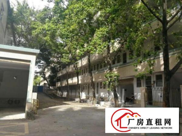  厂房，仓库，写字楼，空地。有需要的老板请与我联系。