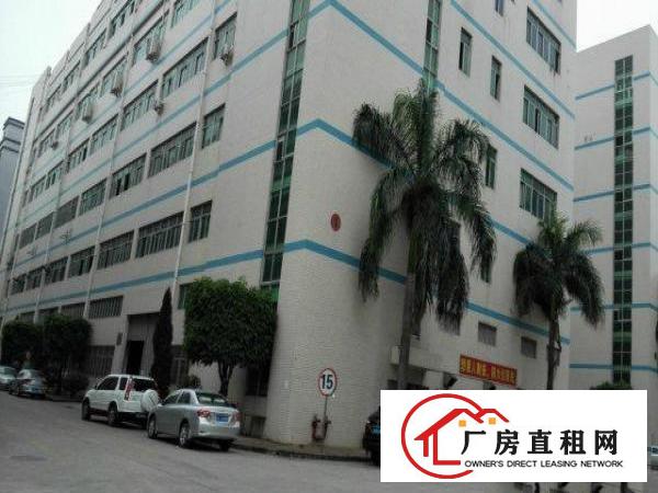  大浪商业中心新出100平精装修厂房(超靓)