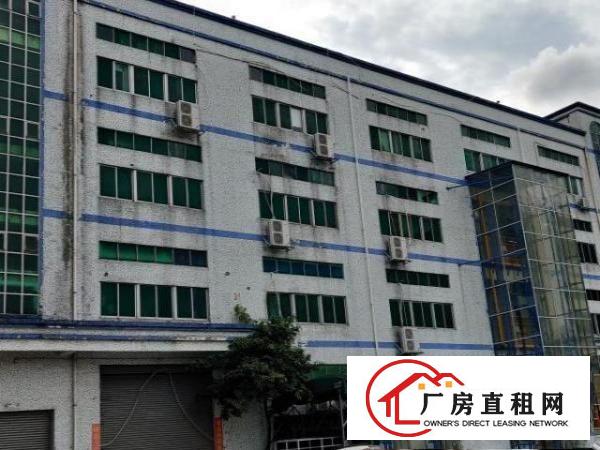  房东出租龙华区大浪独门独院一万五平方厂房
