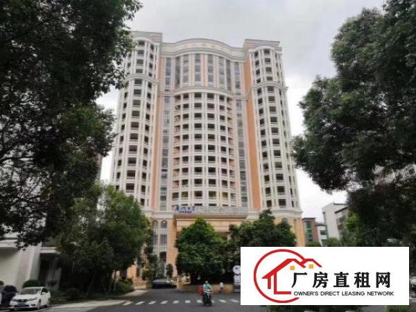  物业直租，高新产业园，可申请补贴