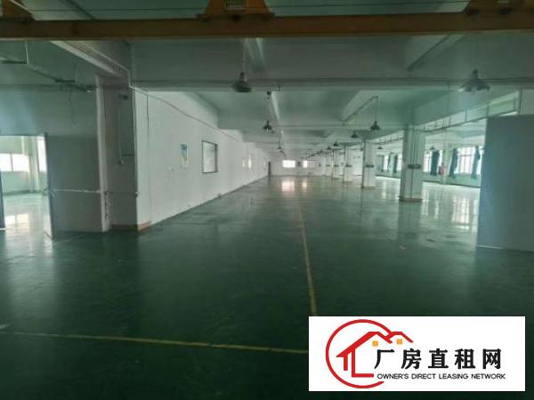  物业直租，高新产业园，可申请补贴