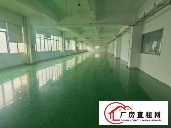  物业直租，高新产业园，可申请补贴