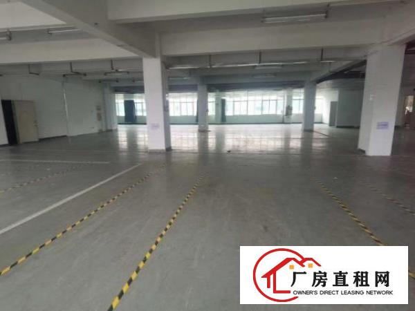  物业直租，高新产业园，可申请补贴