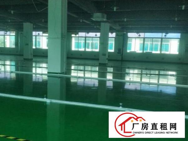  大浪新出2800平方现成无尘车间，水电齐全，拎包入住！