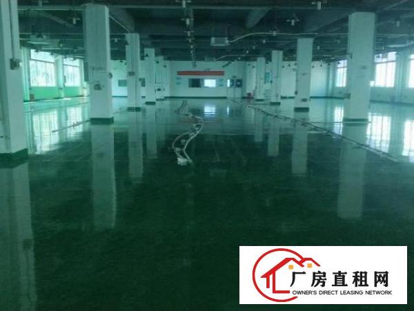 大浪新出2800平方现成无尘车间，水电齐全，拎包入住！