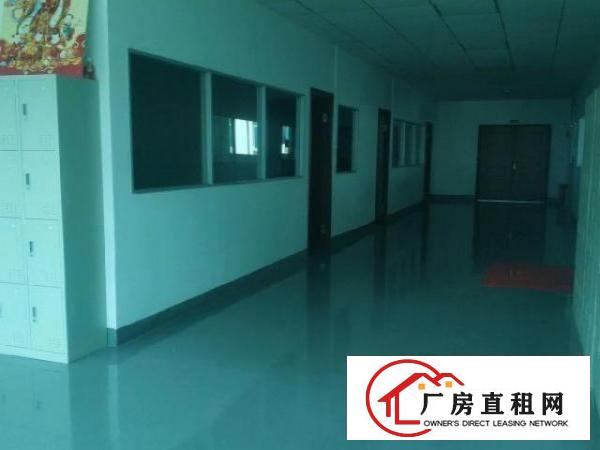  大浪新出2800平方现成无尘车间，水电齐全，拎包入住！