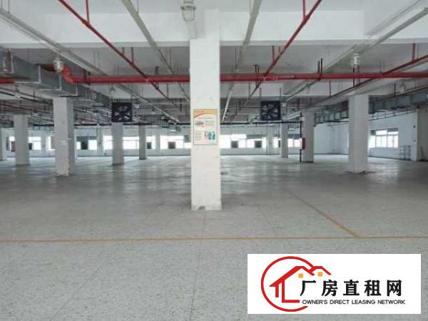 龙华大浪时尚小镇附近楼上2860平花园式厂房出租
