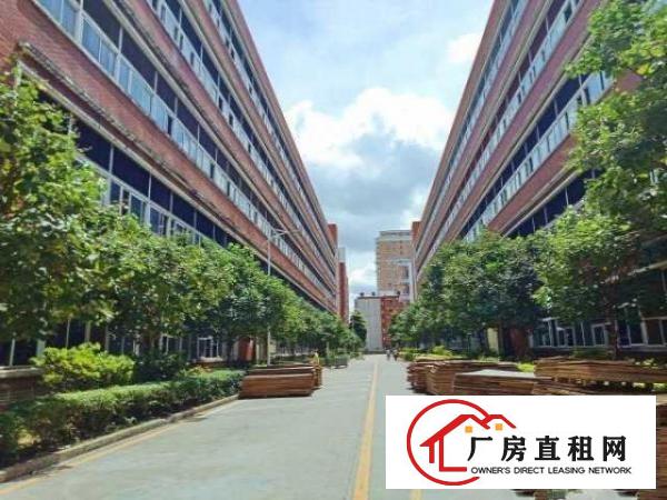  龙华大浪时尚小镇附近楼上2860平花园式厂房出租