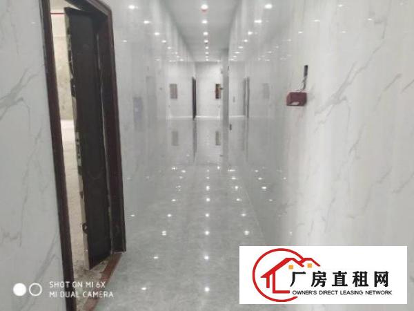  龙华地铁口独院厂房出租