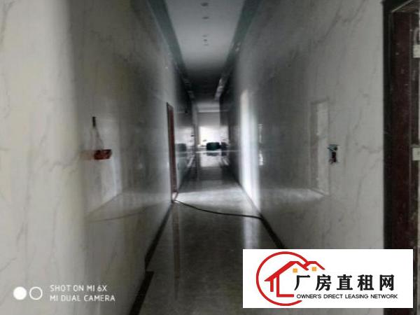 龙华地铁口独院厂房出租