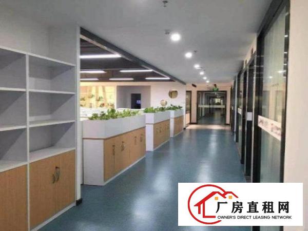  大浪服装基地精装厂房超低价出租大小面积自选可停大车