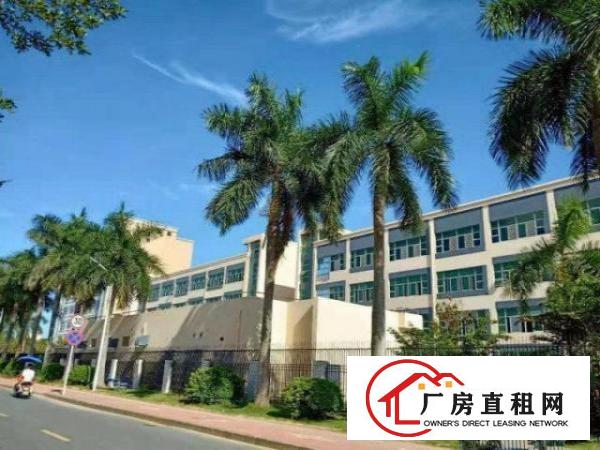  大浪服装基地精装厂房超低价出租大小面积自选可停大车