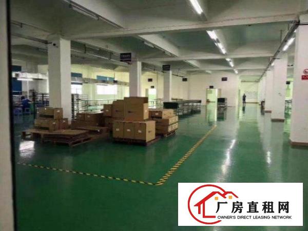  大浪服装基地精装厂房超低价出租大小面积自选可停大车