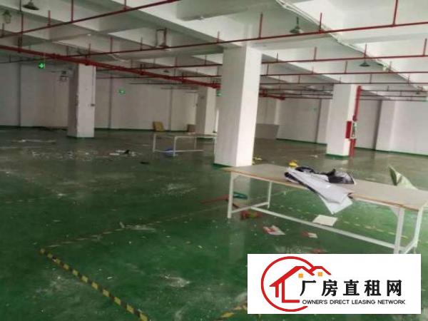  大浪德泰一楼600平方带简单装修=形象好