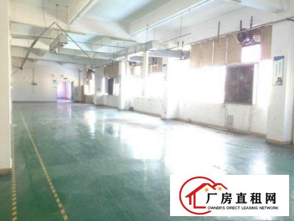  大浪富隆特新出一楼350平带装修厂房招租