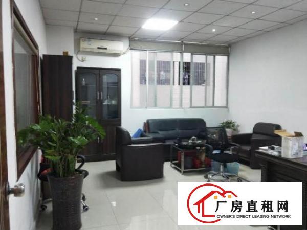  龙华大浪商业中心新出1200平 大气前台 豪装办公 精装车间