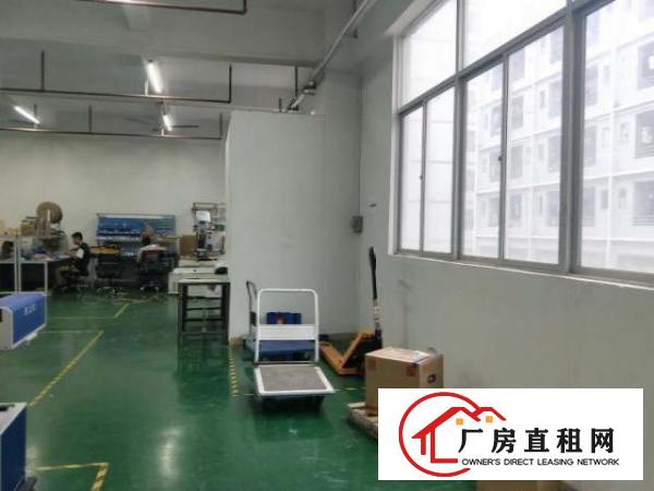  龙华大浪商业中心新出1200平 大气前台 豪装办公 精装车间
