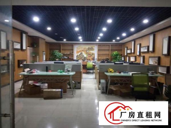  龙华大浪商业中心新出1200平 大气前台 豪装办公 精装车间