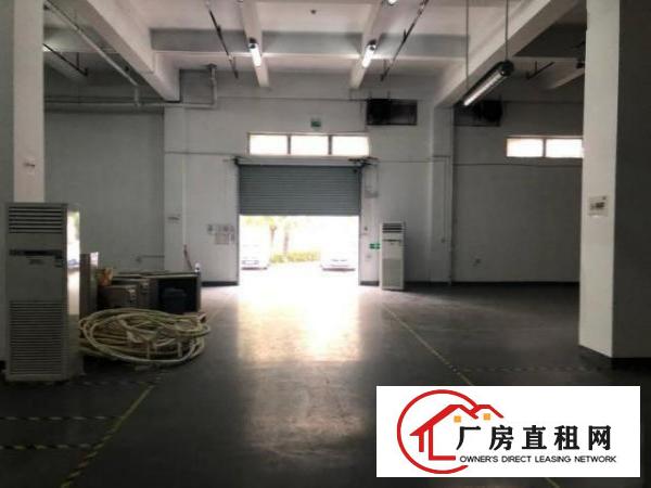  大浪布龙路一楼厂房500平