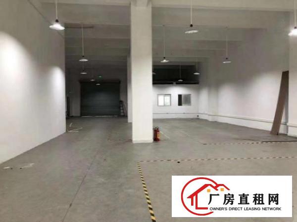  大浪布龙路一楼厂房500平