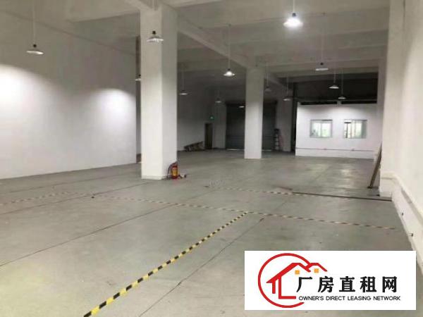  大浪布龙路一楼厂房500平