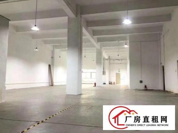  大浪布龙路一楼厂房500平