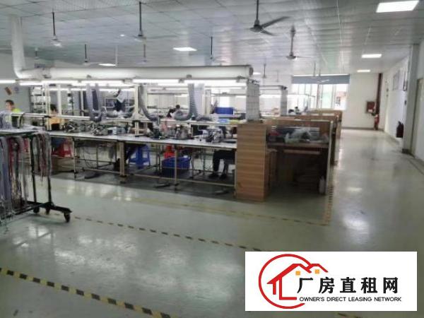  龙华大浪新出精装修厂房820平，物业直租