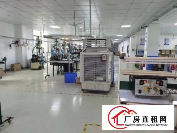  龙华大浪新出精装修厂房820平，物业直租