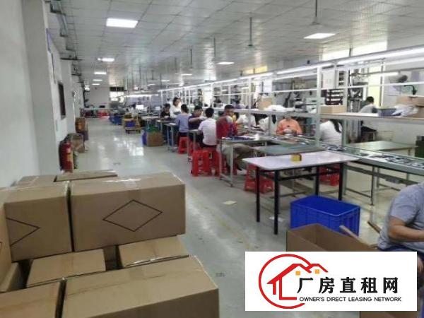  龙华大浪新出精装修厂房820平，物业直租
