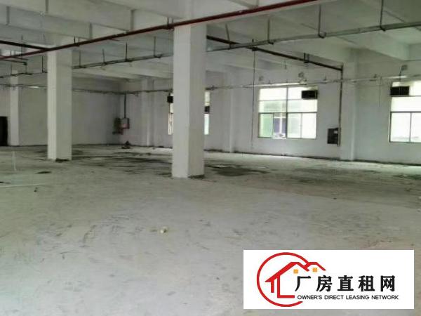  新出1楼700平可分240平460平适合各种行业