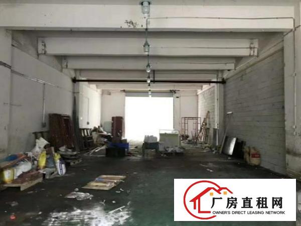  新出1楼700平可分240平460平适合各种行业