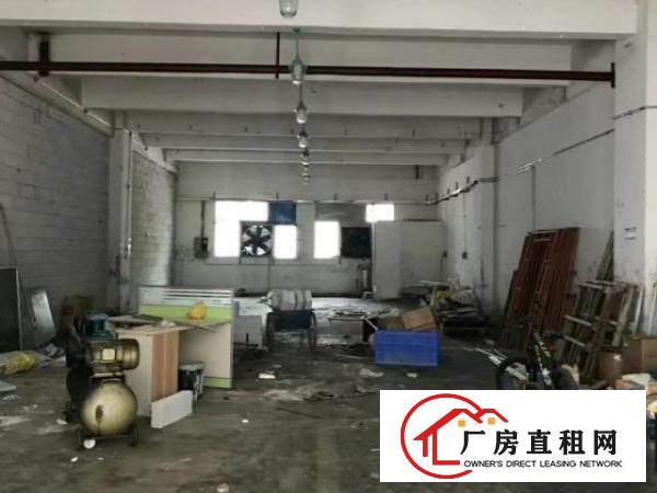  新出1楼700平可分240平460平适合各种行业