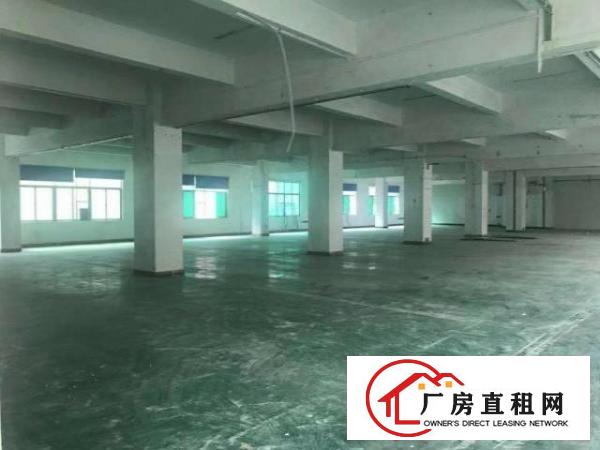  新出2楼1650平原房东厂房可分租适合各种加工行业
