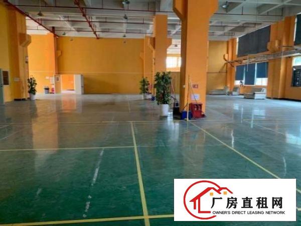 上市公司首先！龙华新区大浪工业园独门独院25000方厂房出租