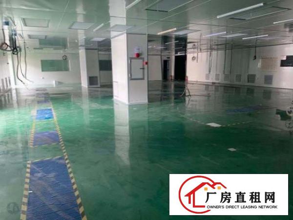  上市公司首先！龙华新区大浪工业园独门独院25000方厂房出租