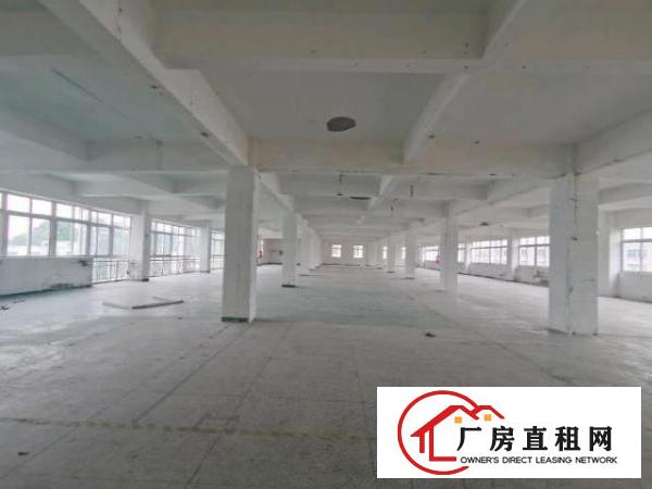  龙华大浪华霆路旁，花园式园区，交通便利，停车位充足，超大空地