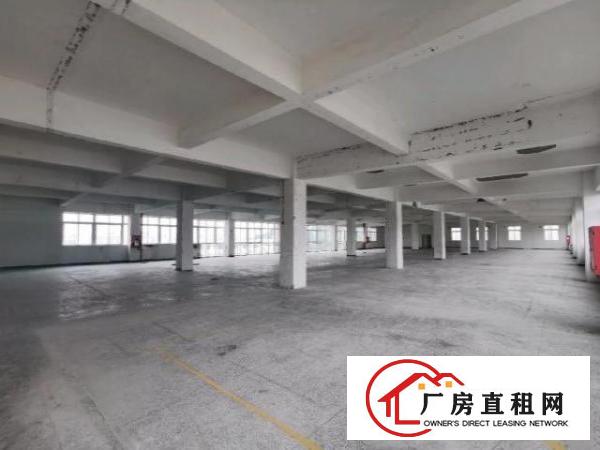  龙华大浪华霆路旁，花园式园区，交通便利，停车位充足，超大空地