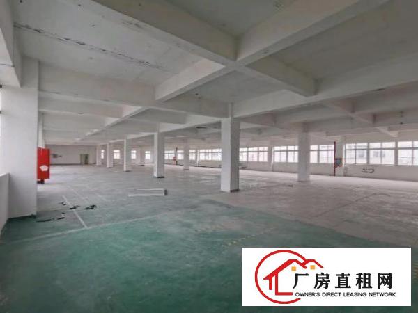  龙华大浪华霆路旁，花园式园区，交通便利，停车位充足，超大空地