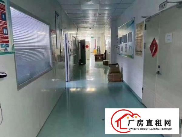  新出精装厂房2楼1580平，可直接入住，使用率高，可分租