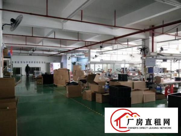  新出精装厂房2楼1580平，可直接入住，使用率高，可分租