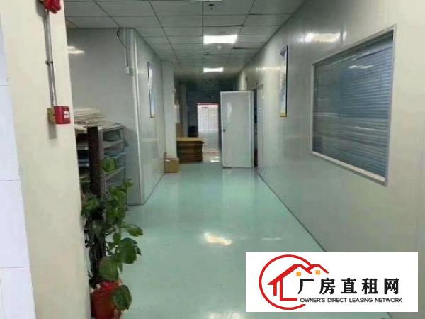  新出精装厂房2楼1580平，可直接入住，使用率高，可分租